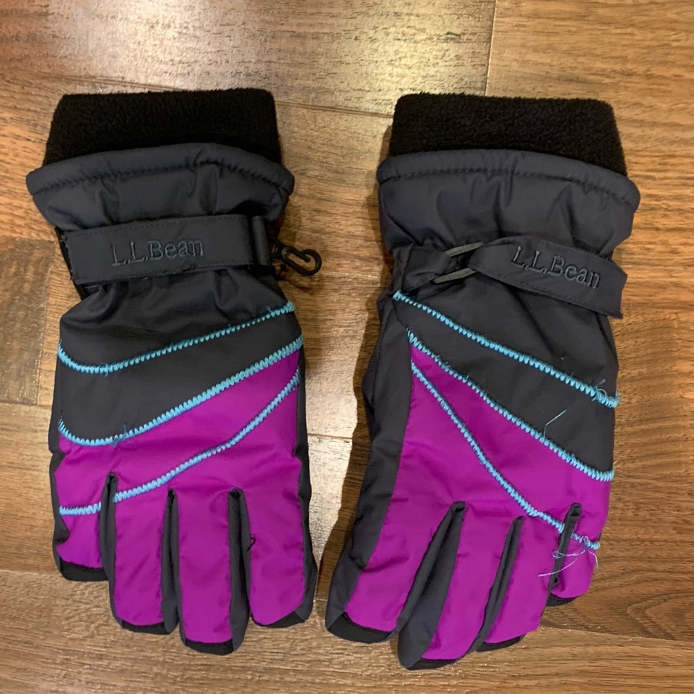 Ski Gloves